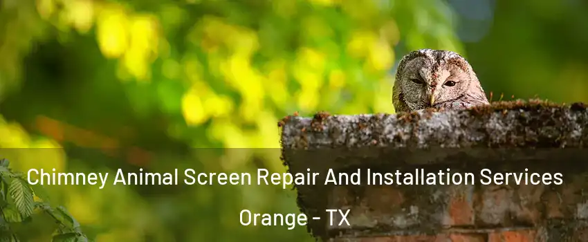 Chimney Animal Screen Repair And Installation Services Orange - TX