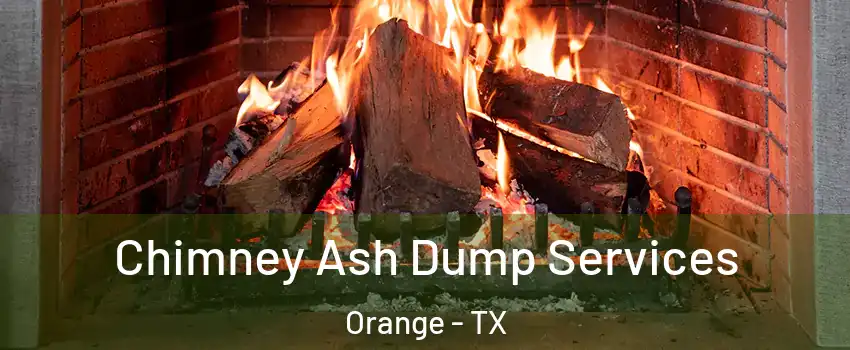  Chimney Ash Dump Services Orange - TX