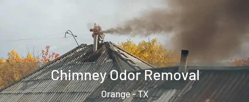  Chimney Odor Removal Orange - TX
