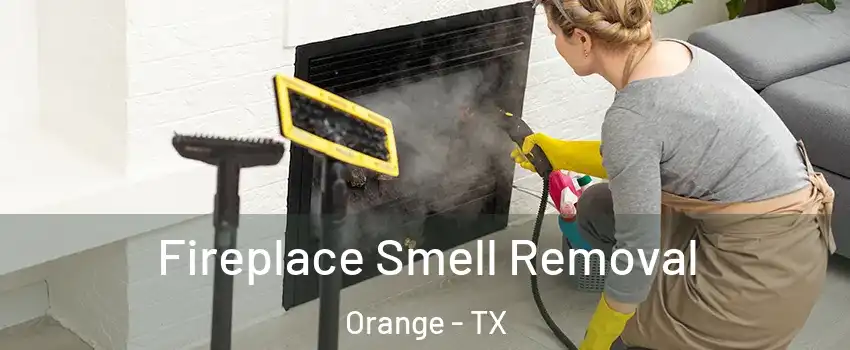  Fireplace Smell Removal Orange - TX