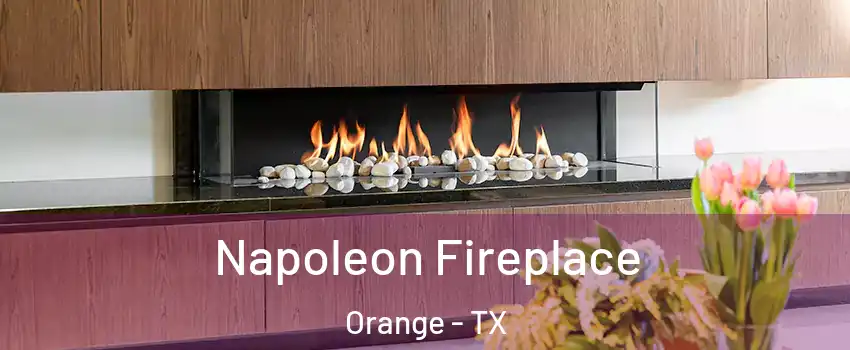  Napoleon Fireplace Orange - TX